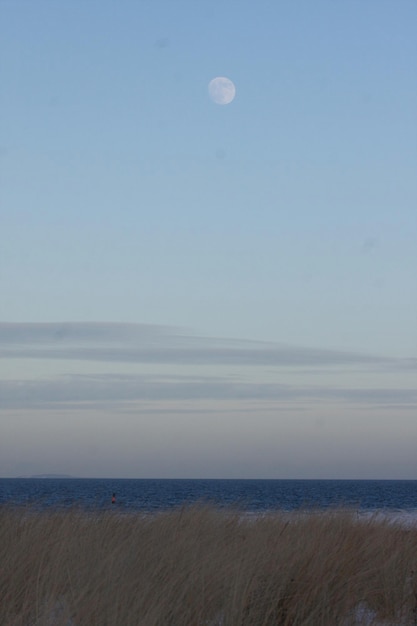 Photo scenic view of beach at dusk