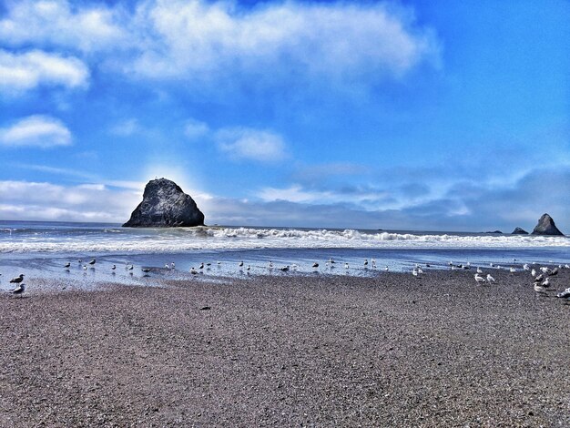 Scenic view of beach and sea against sky