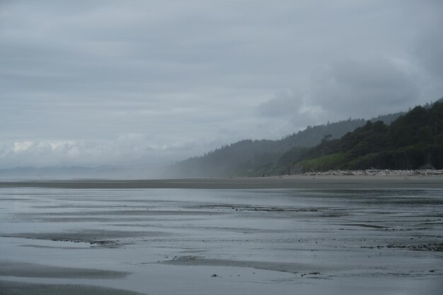 scenic view of beach and sea against sky