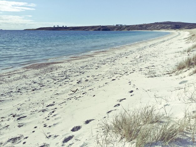 Foto la vista panoramica della spiaggia in una giornata di sole