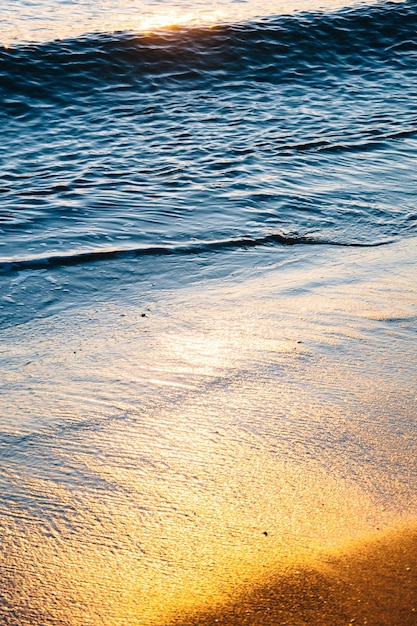 Scenic view of beach during sunset