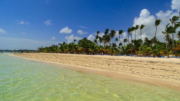 Scenic view of beach