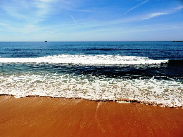 Scenic view of beach