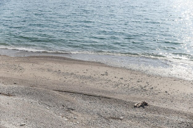 Scenic view of beach