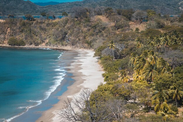 Scenic view of beach