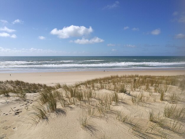 Scenic view of beach