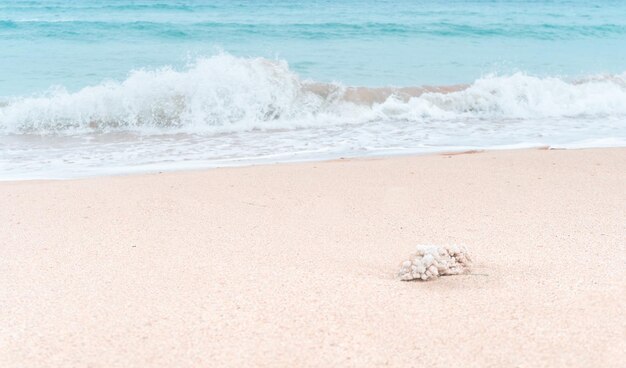 Photo scenic view of beach