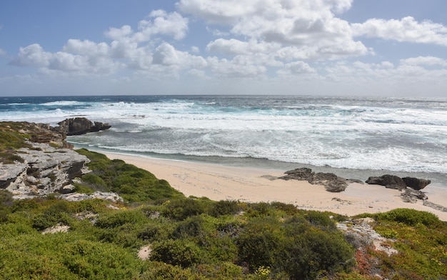 Scenic view of beach