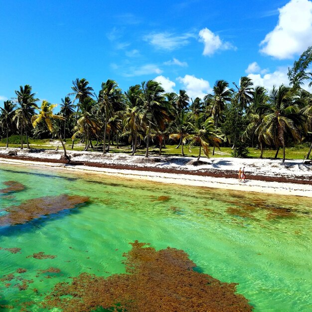 Scenic view of beach