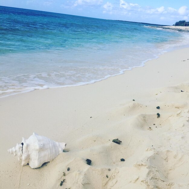 Foto la vista panoramica della spiaggia