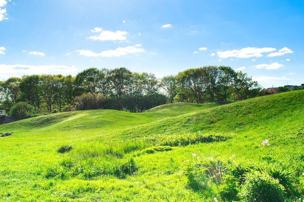 Scenic view of beautiful small mountains, hills, mounds with green grass lawn against bright blue sky with clouds in city park.