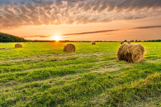 Scenic view at beautiful spring sunset in a green shiny field with green grass and golden sun rays deep blue cloudy sky on a background forest and country road summer valley landscape