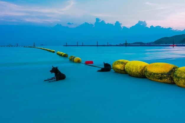 Scenic view of blue sea against sky