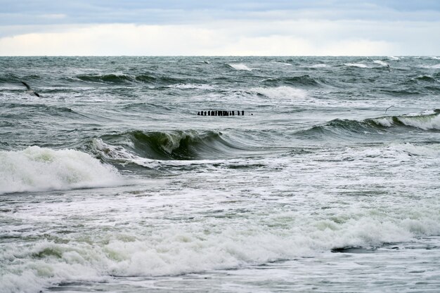 Scenic view of blue sea with bubbling and foaming waves. Vintage long wooden breakwaters stretching far out to sea, winter Baltic Sea landscape. Silence, solitude, calm and peace.