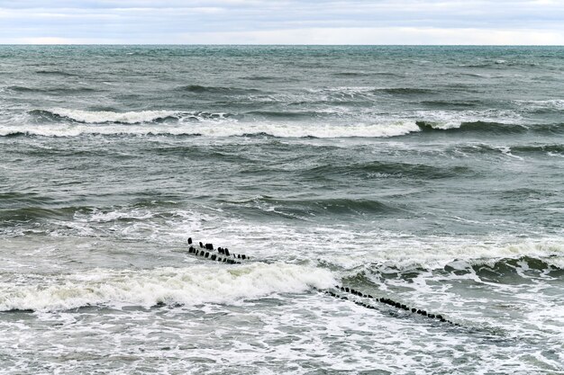 Scenic view of blue sea with foaming waves. Vintage long wooden breakwaters stretching far out to sea, winter Baltic Sea landscape. Silence, solitude, calm and peace.