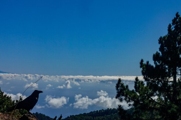 Scenic view of blue sky