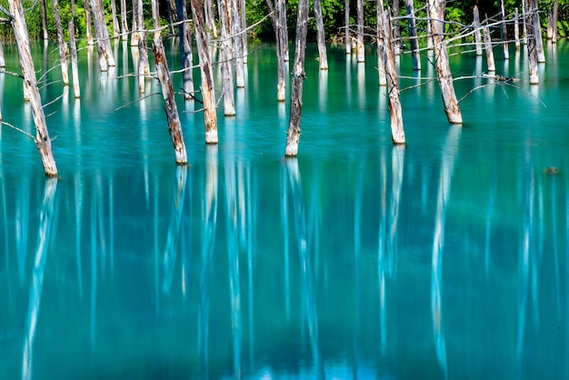 Photo scenic view of blue water