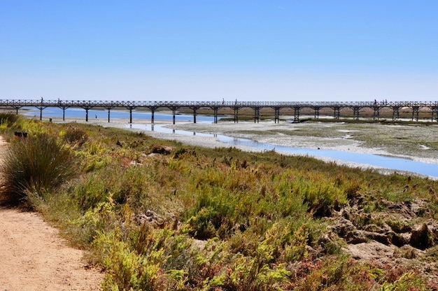 Foto vista panoramica del ponte contro un cielo limpido