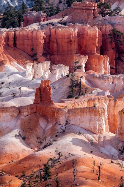 Scenic view of Bryce Canyon Southern Utah USA