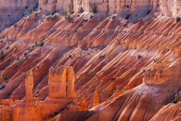 Scenic View of Bryce Canyon