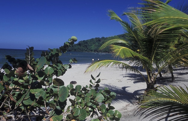 Photo scenic view of calm beach