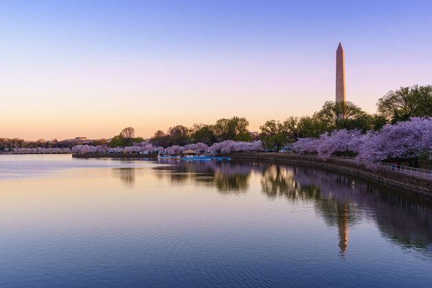 Scenic view of calm lake against clear sky in washington dc