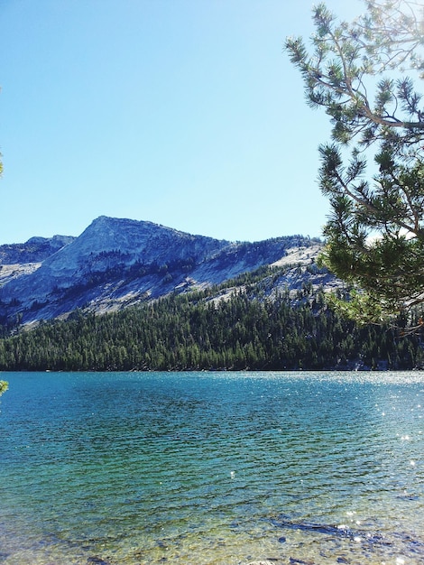 La vista panoramica del lago calmo contro un cielo limpido