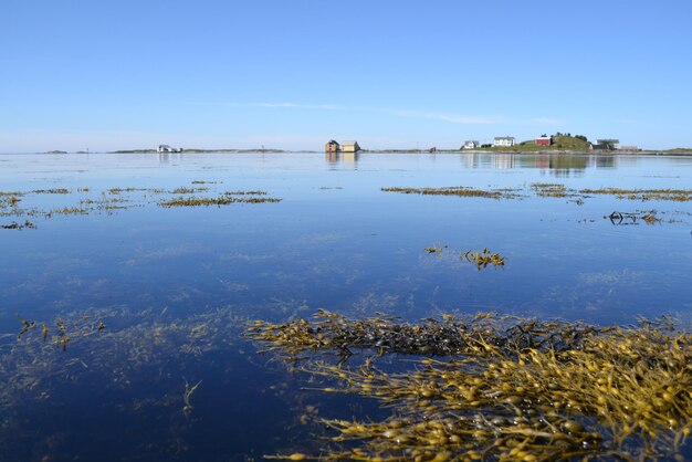 Scenic view of calm lake against sky