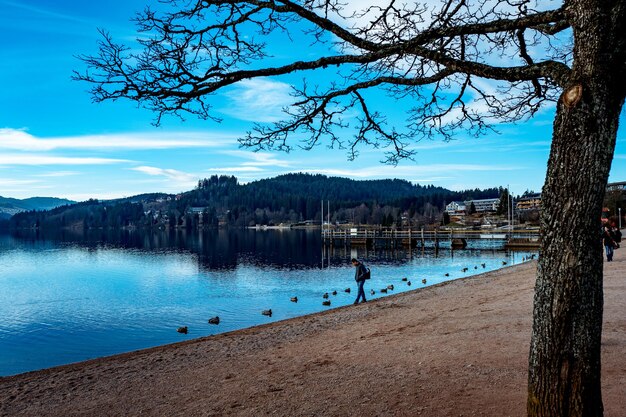 Scenic view of calm lake against sky