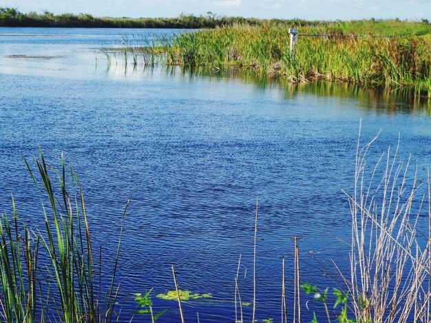 Scenic view of calm lake