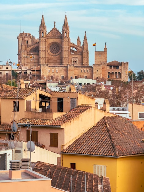 Photo scenic view of cathedral de mallorca and cityscape in mallorca