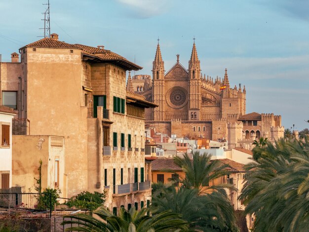 Photo scenic view of cathedral de mallorca and cityscape in mallorca