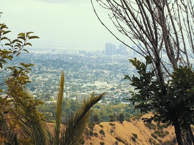 Scenic view of cityscape against sky