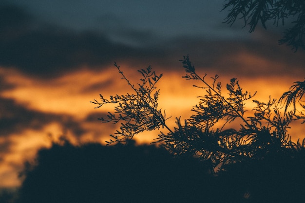 Photo scenic view of cloudy sky at sunset