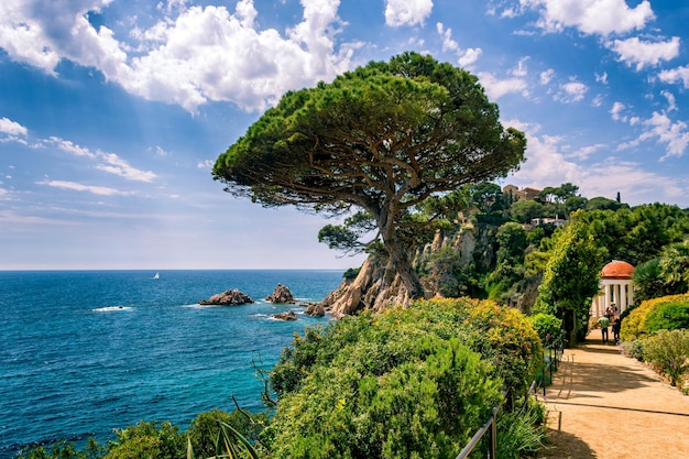 Photo scenic view of coast part of blanes girona spain in sunny day