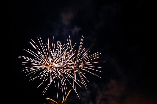 夜の色とりどりの花火の絶景