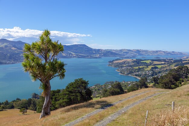 Foto vista panoramica della campagna nella penisola di otago