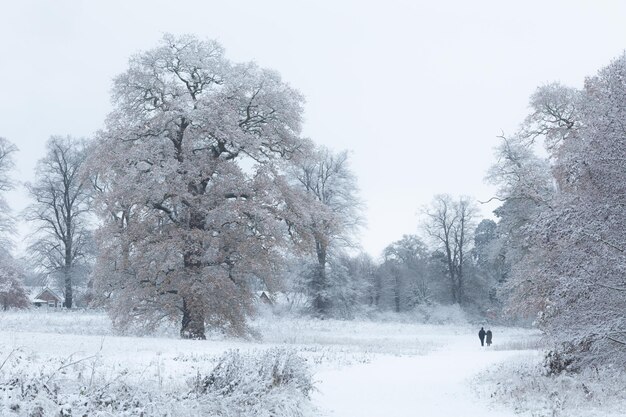 Scenic view of a couple strolling on snowy trails in winter