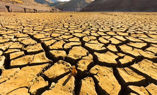 Scenic view of cracked land