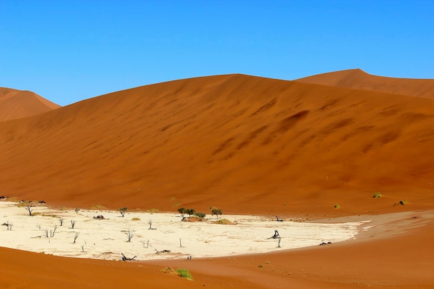 Scenic view of desert against blue sky