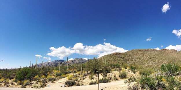 Photo scenic view of desert against blue sky