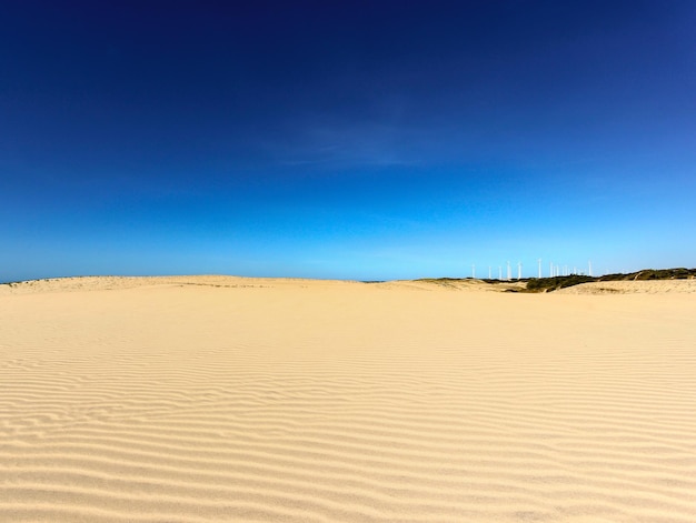 Foto la vista panoramica del deserto contro il cielo blu