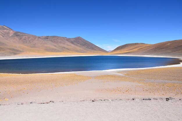 Scenic view of desert against clear blue sky