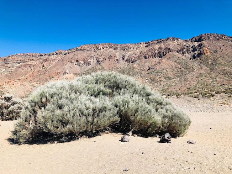 Photo scenic view of desert against clear blue sky