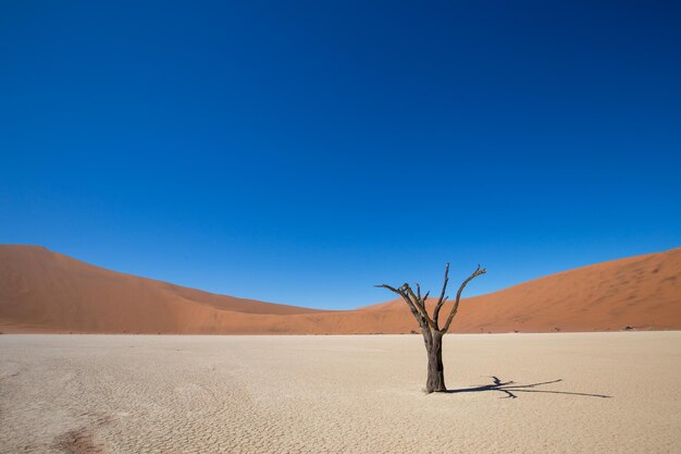 Photo scenic view of desert against clear blue sky