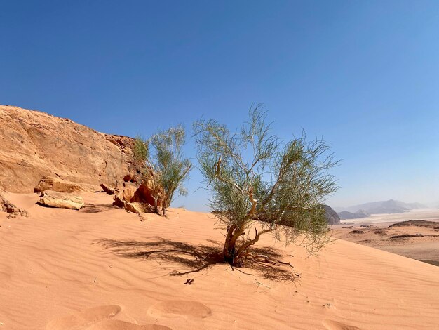 Scenic view of desert against clear blue sky