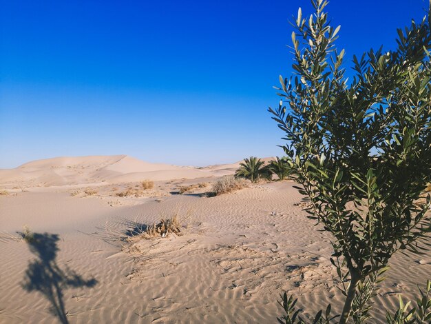 Scenic view of desert against clear blue sky