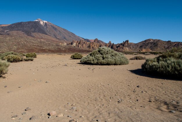 Scenic view of desert against clear blue sky