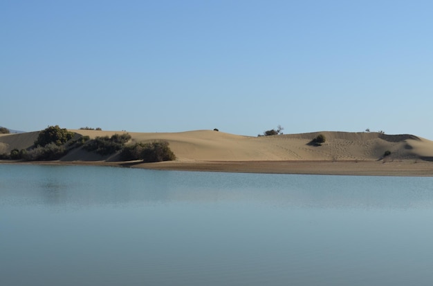 Photo scenic view of desert against clear blue sky