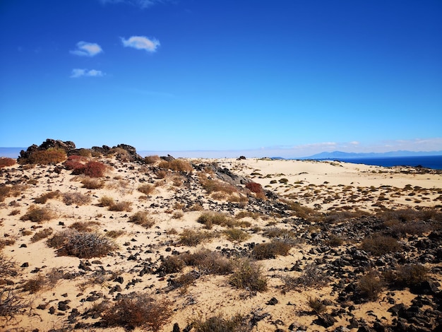 Foto una vista panoramica del deserto contro un cielo blu limpido